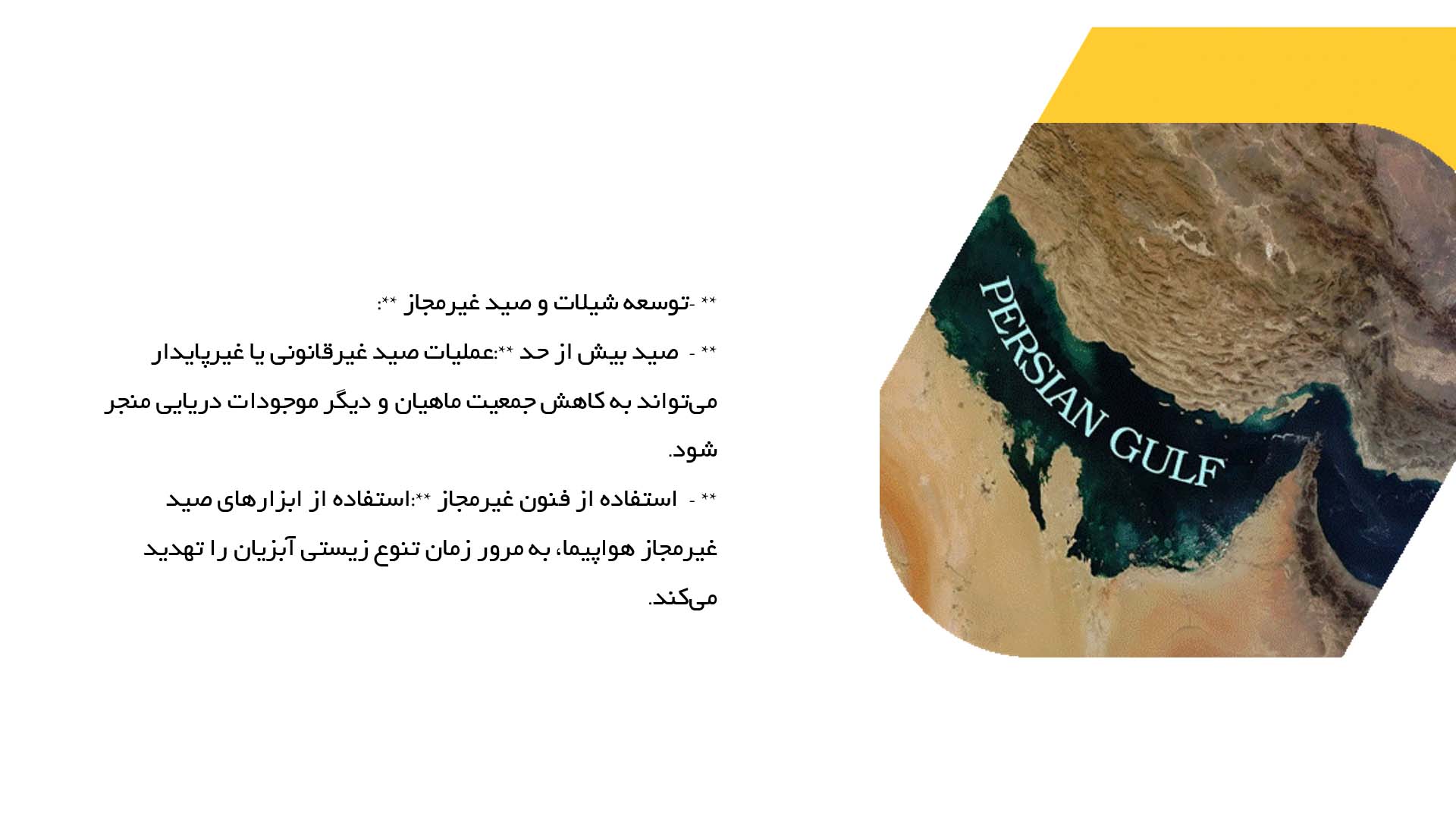 پاورپوینت در مورد تأثیر فعالیت‌های انسانی بر تنوع زیستی خلیج فارس